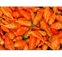 Habanada