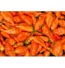 Habanada