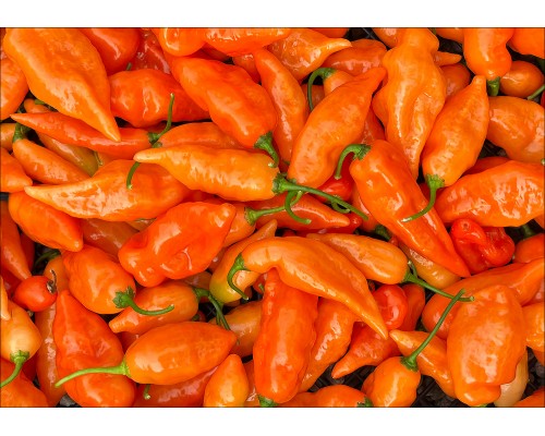 Habanada