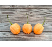 Apricot Apple