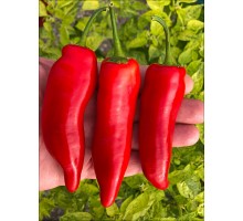 Aji Verde
