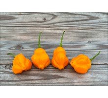 Aji Mandarin