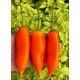 Aji Amarillo