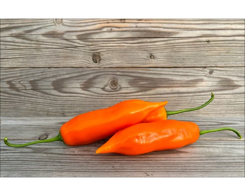 Aji Amarillo