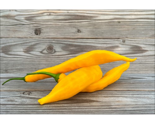 Aji Guyana