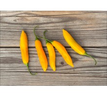 Aji Cito