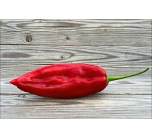 Aji Chicotillo