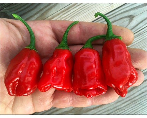 Aji Strawberry Drop