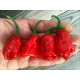 Aji Strawberry Drop