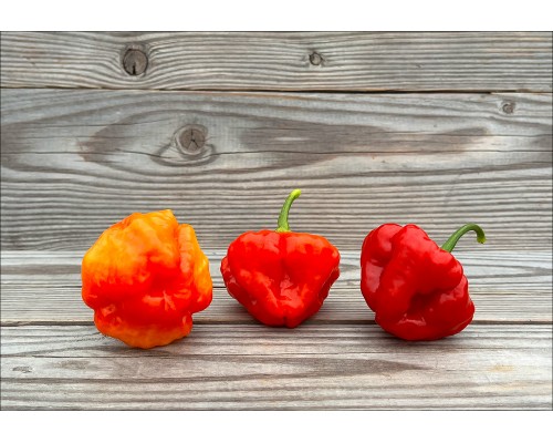 Aji Dulce Puerto Rico