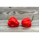 NuMex Suave Red