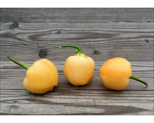 Peppapeach