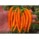 Orange Explosion