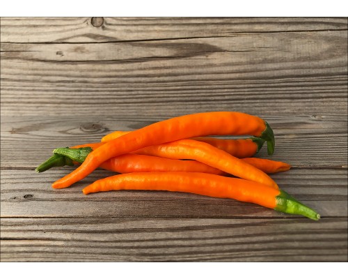 Orange Explosion