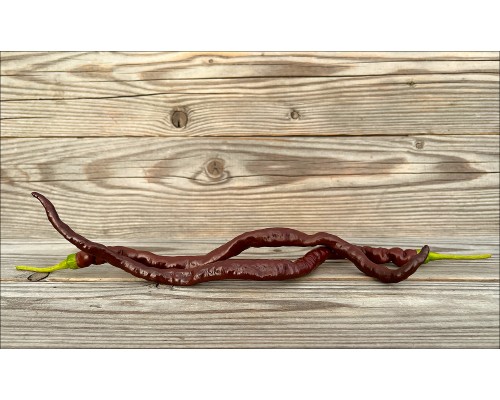 Thunder Cacho Brown