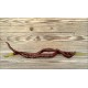 Thunder Cacho Brown