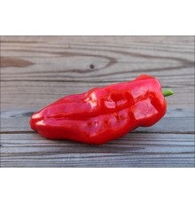 Padron