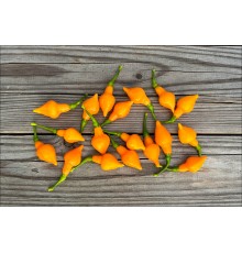 Cabacinha Laranja