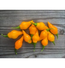 Biquinho Amarelo