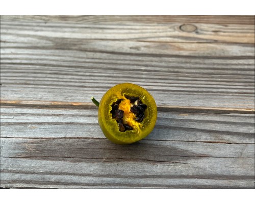 Mini Olive Rocoto