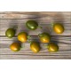 Mini Olive Rocoto