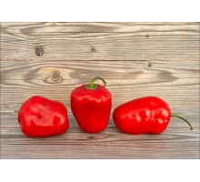 Rocoto Susa Rojo