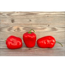 Rocoto Susa Rojo