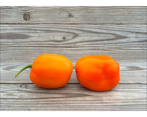 Rocoto Puno Pica Orange