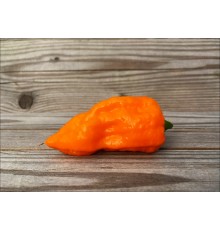 Bhut Jolokia Orange
