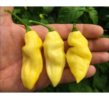 Batman Pineapple Habanero