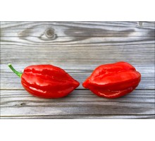 Habanero Maya Red
