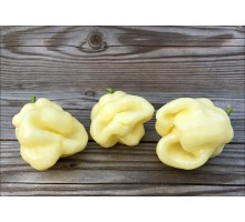 Habanero Cream