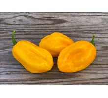 Habanero Marobie Yellow