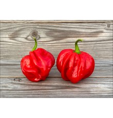 Habanero El Remo