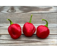 Ecuadorian Sweet Habanero