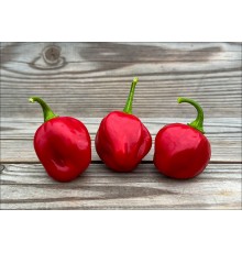 Ecuadorian Sweet Habanero