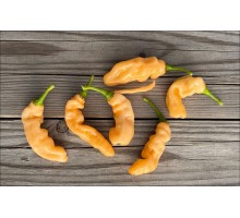 Habanero Neon Peach