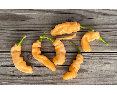 Habanero Neon Peach