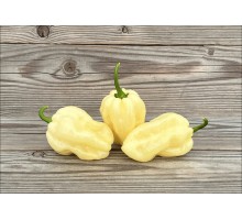 Big White Habanero