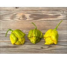 Trinidad Scorpion Moruga Mustard
