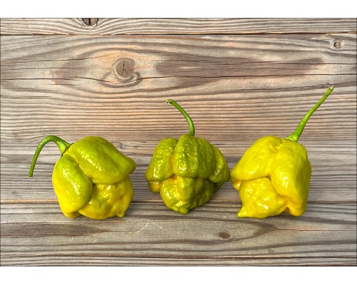 Trinidad Scorpion Moruga Mustard