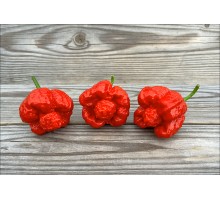 Trinidad Scorpion Moruga Blend