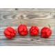Trinidad Scorpion Moruga Satan Strain