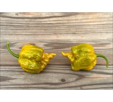 Carolina Reaper Gold