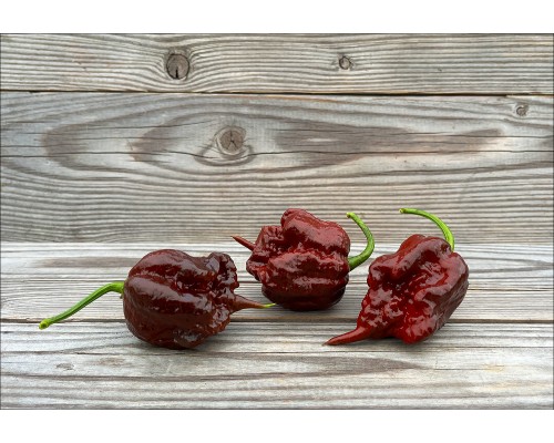 Carolina Reaper Chocolate