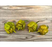 Carolina Reaper Mustard