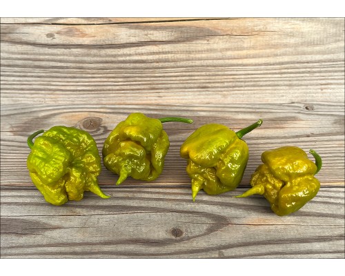 Carolina Reaper Mustard