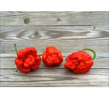 Moruga Reaper