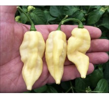 Fatalii White