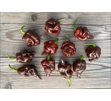 Rimmerhus Fun Strain
